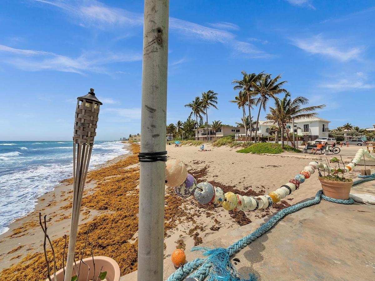 The Shell On Walnut 1Br1Bath Hollywood Beach Free Parking 데이니아 비치 외부 사진
