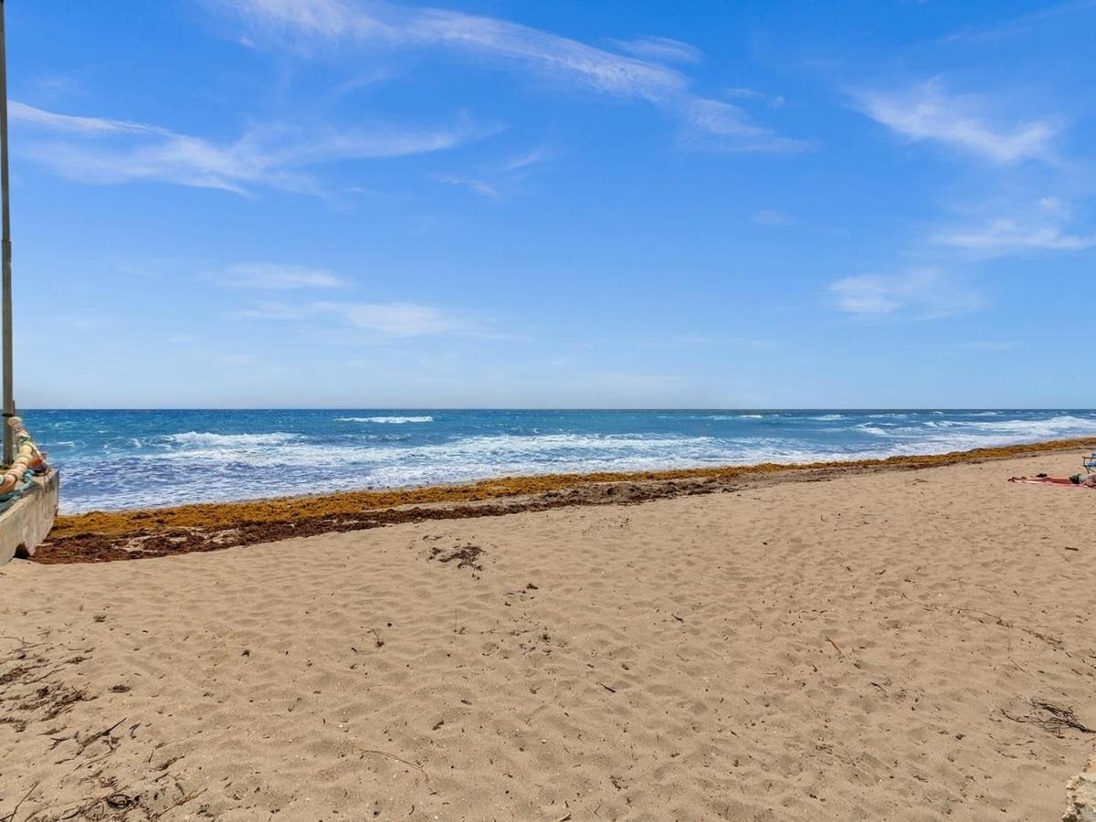 The Shell On Walnut 1Br1Bath Hollywood Beach Free Parking 데이니아 비치 외부 사진